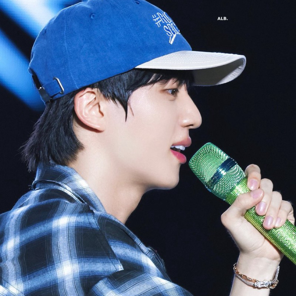 A moment captured by Jin (BTS)'s fan