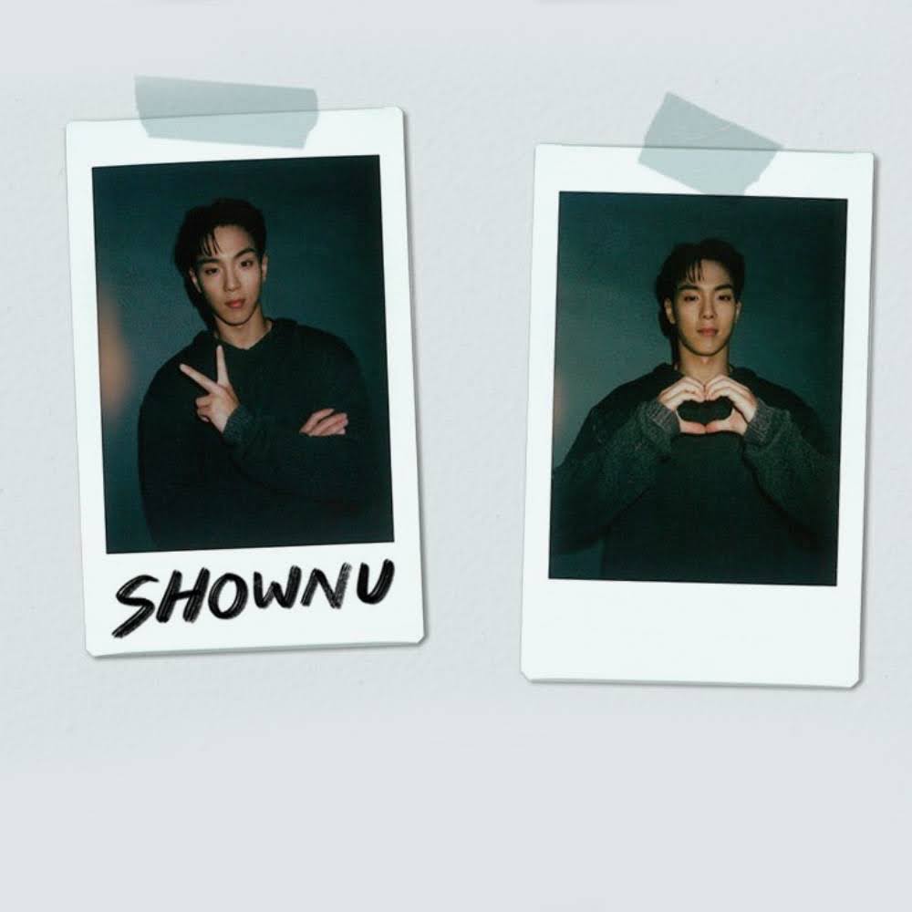 Momen yang diabadikan oleh penggemar Shownu (MONSTA X)