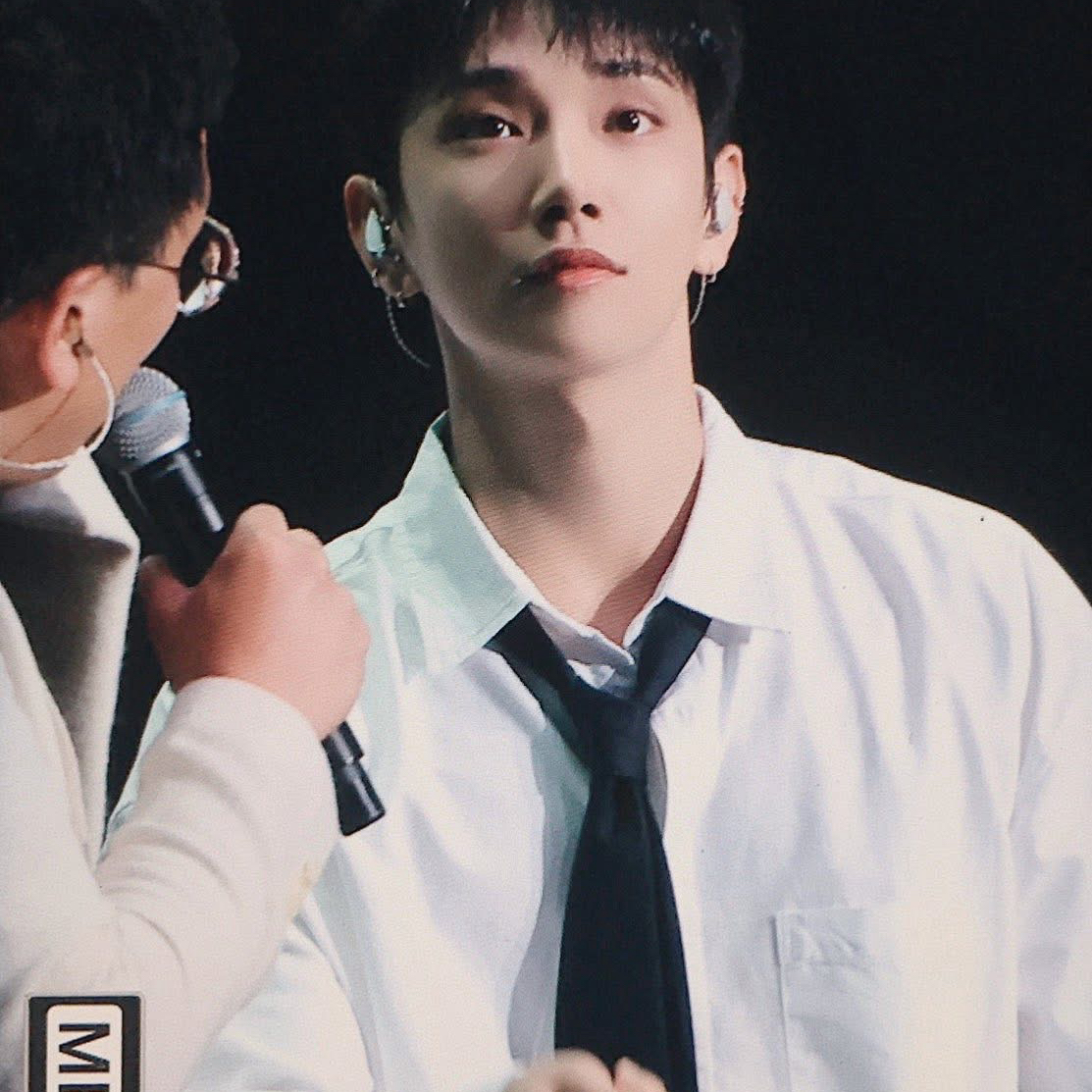 A moment captured by Joshua (SEVENTEEN)'s fan