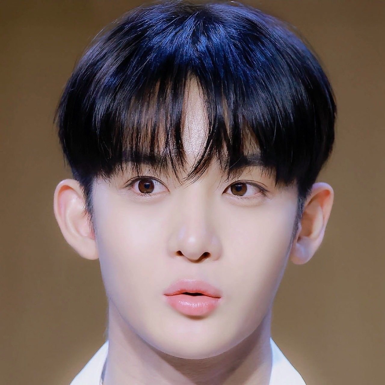 Recent activity shot of Bae Jinyoung