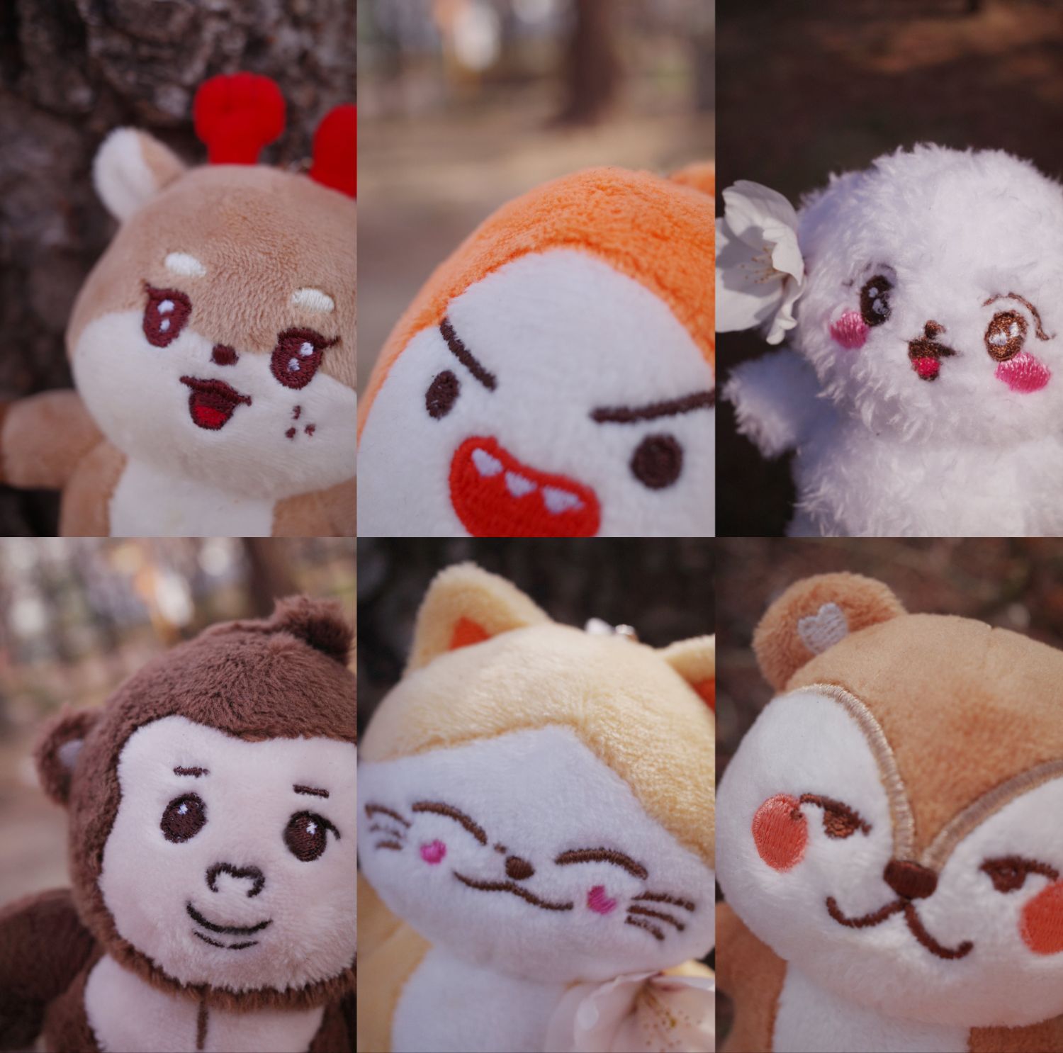 Latest photo of ONF