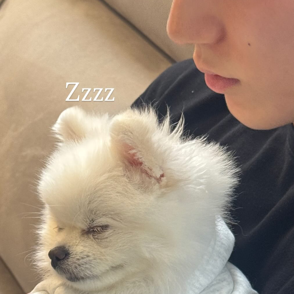 산 (에이티즈) 팬이 찍은 순간