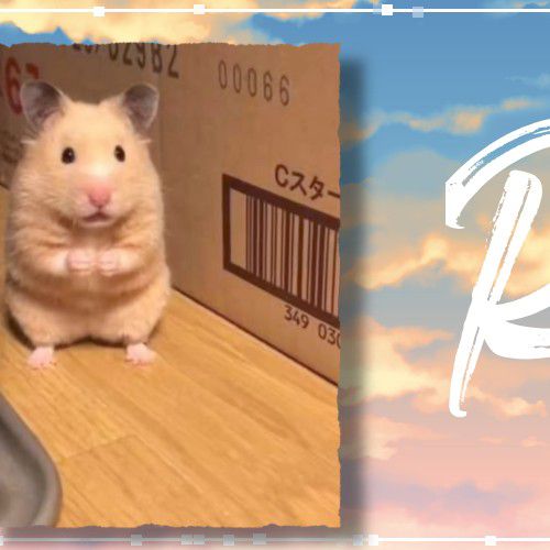 リク (NiziU)の最新写真