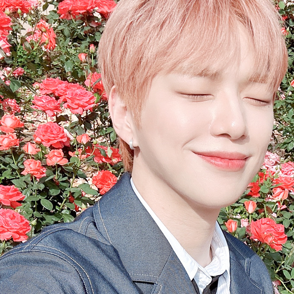 Recent activity shot of Kang Daniel