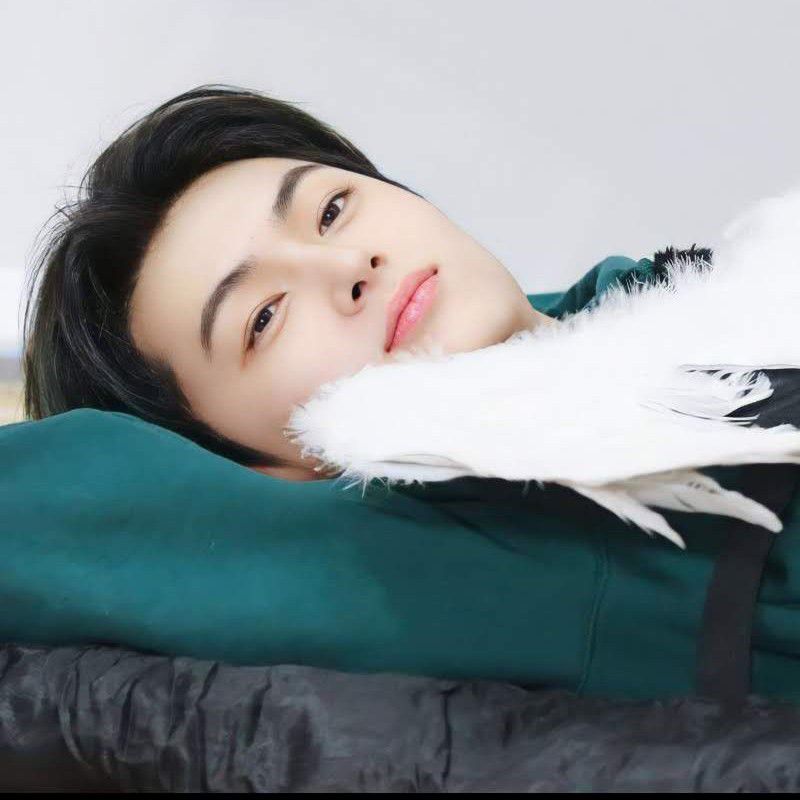 ENHYPEN 팬이 찍은 순간