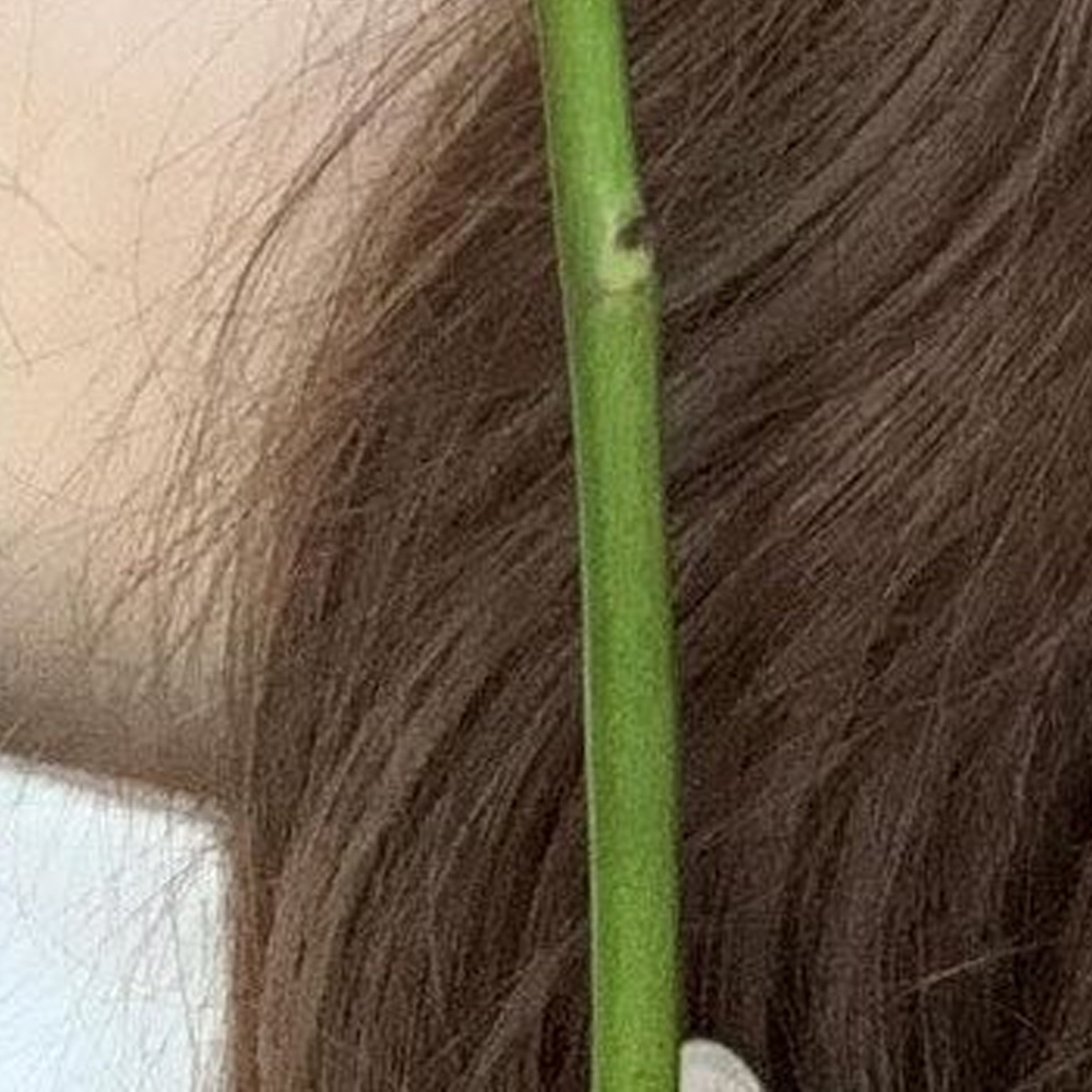 Latest photo of Go Won (Loossemble)