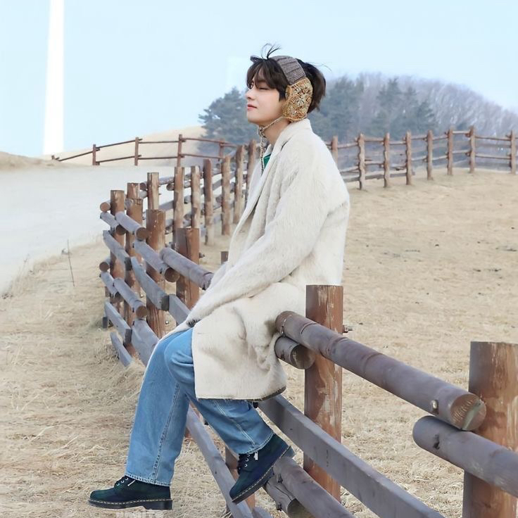 V (BTS)の最近の活動写真