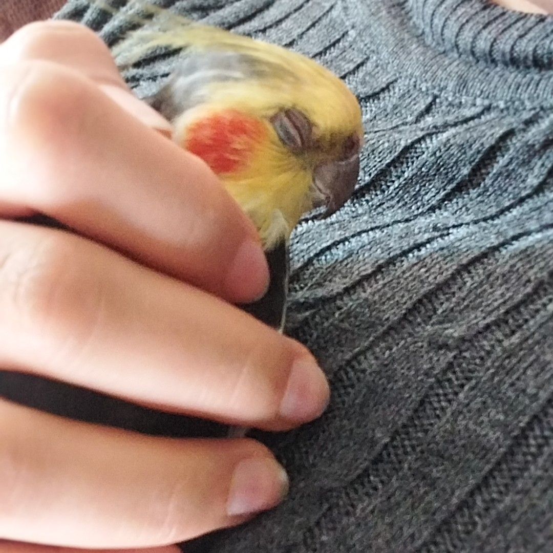 ディオ (EXO)の最新写真