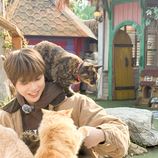 강다니엘 팬이 찍은 순간