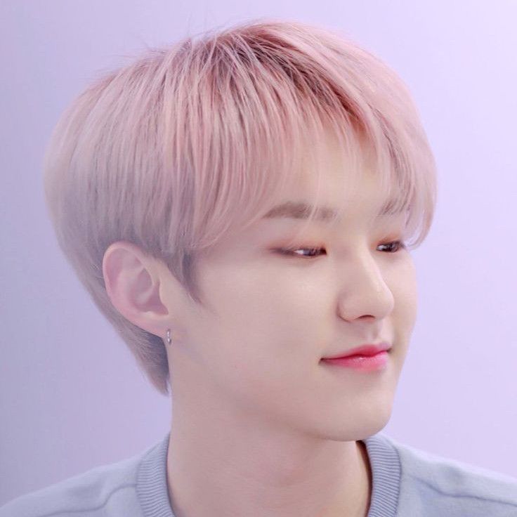 Hoshi (SEVENTEEN)的最新活动照片