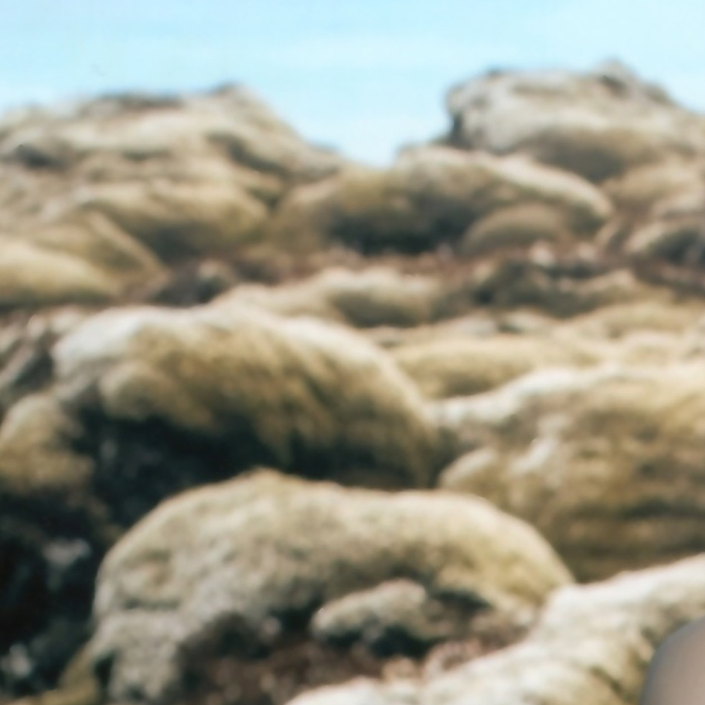 A moment captured by HyunJin (Loossemble)'s fan