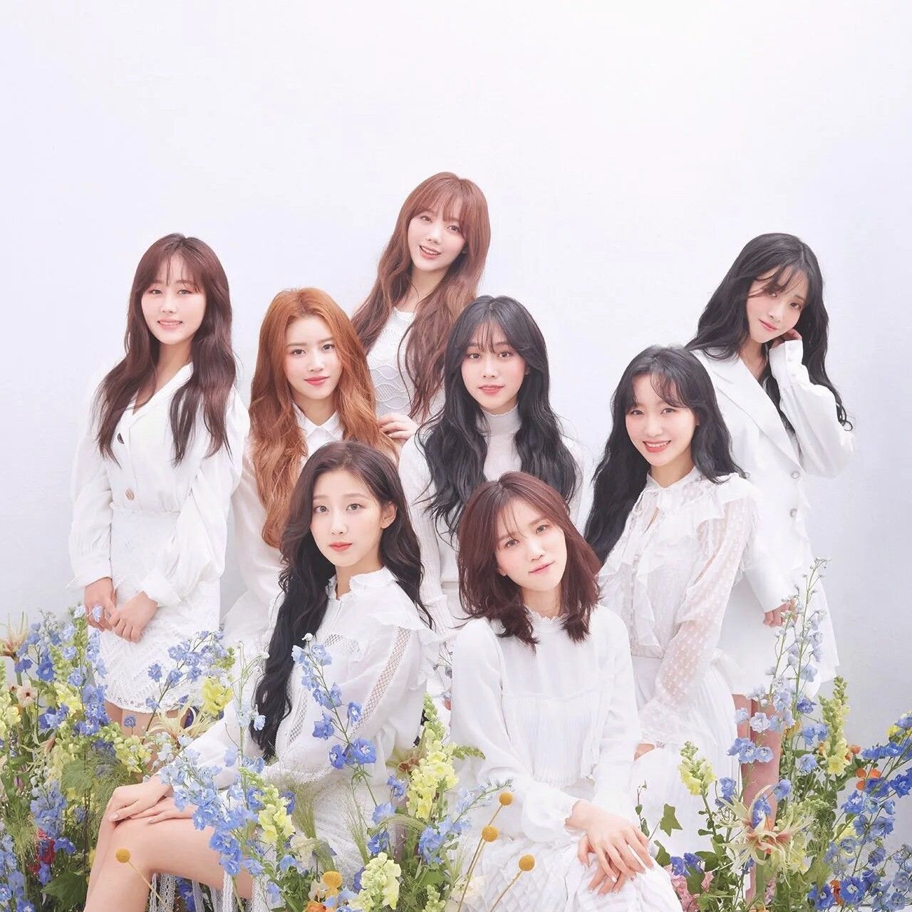 Recent activity shot of Lovelyz