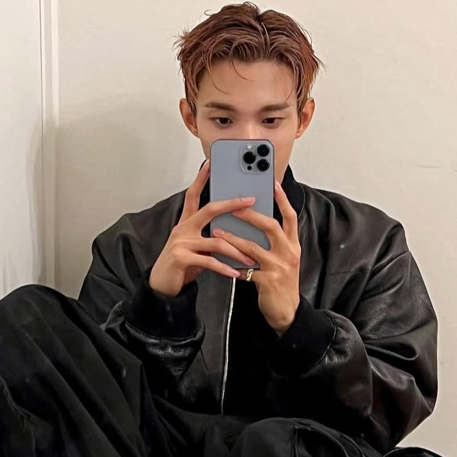A moment captured by DK (SEVENTEEN)'s fan