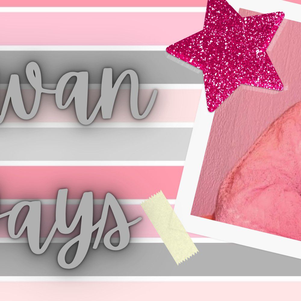 세븐틴의 비하인드 컷