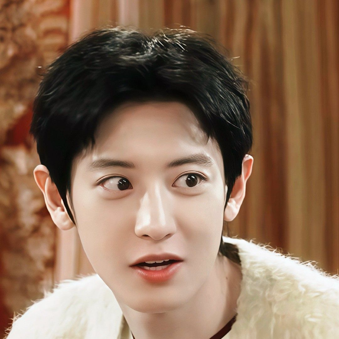 찬열 (EXO) 최근 활동샷