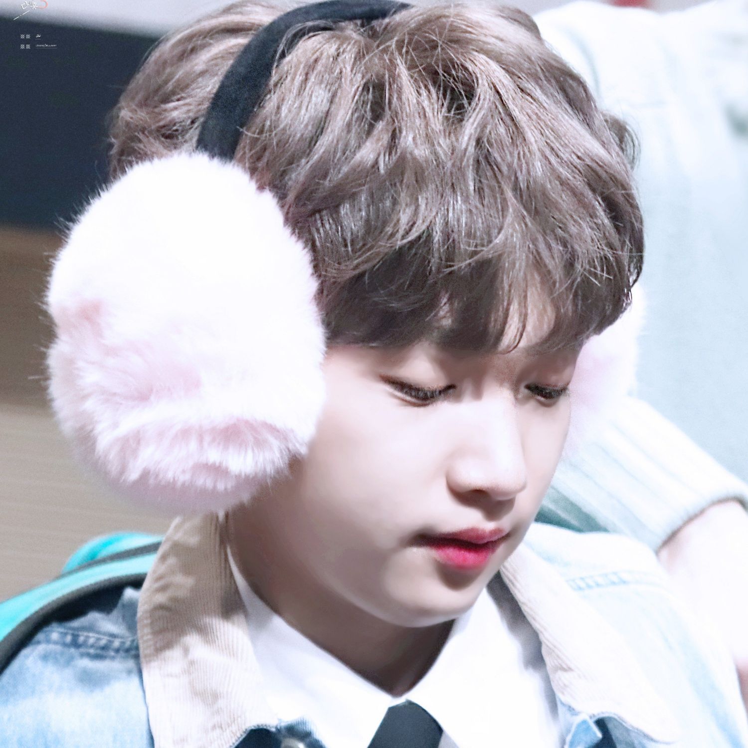 郑世云粉丝拍下的瞬间