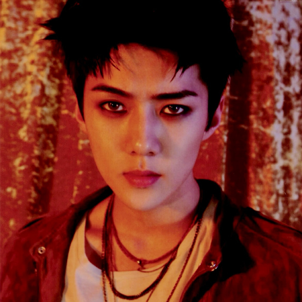 세훈 (EXO) 팬이 찍은 순간