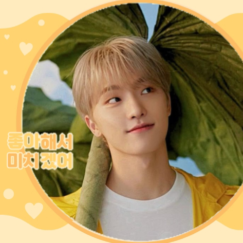 Dino (SEVENTEEN)粉丝拍下的瞬间