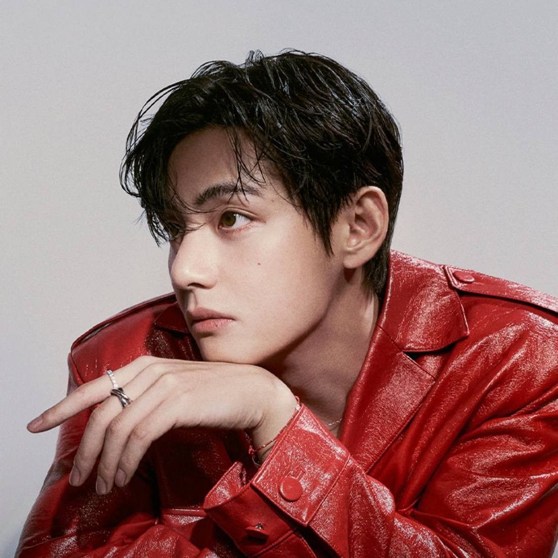 Behind-the-scenes cut of V (BTS)