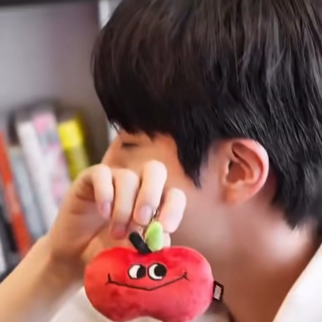 진 (방탄소년단) 팬이 찍은 순간