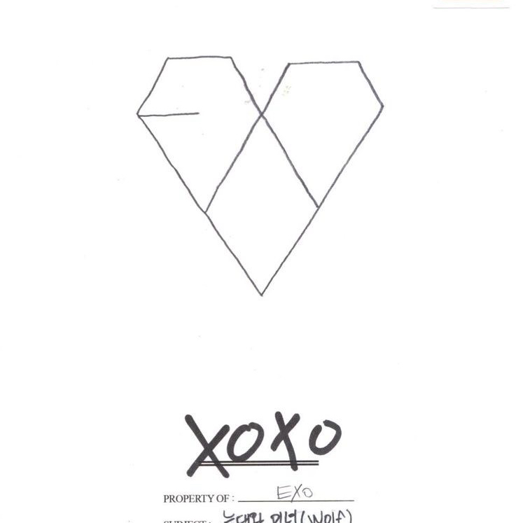 EXO 팬이 찍은 순간