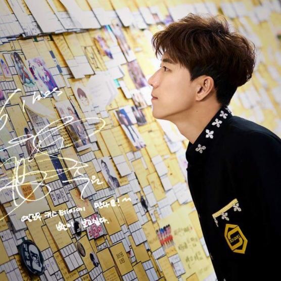 Recent activity shot of SECHSKIES