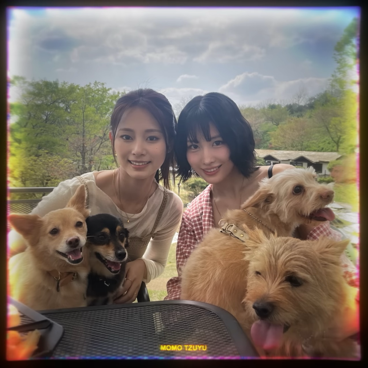 Recent activity shot of Momo (TWICE)