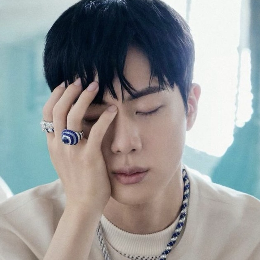 Recent activity shot of Jin (BTS)