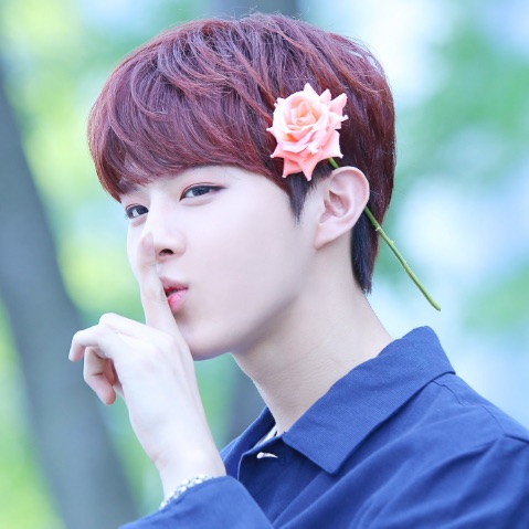 Recent activity shot of Kim Wooseok