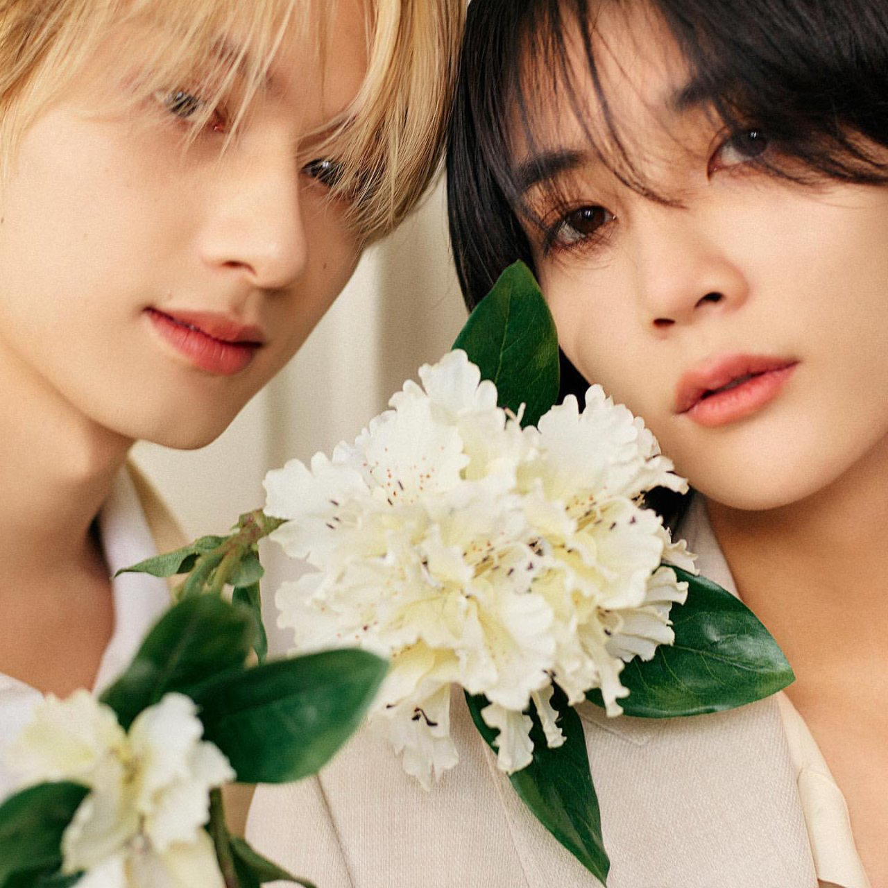 세븐틴 팬이 찍은 순간