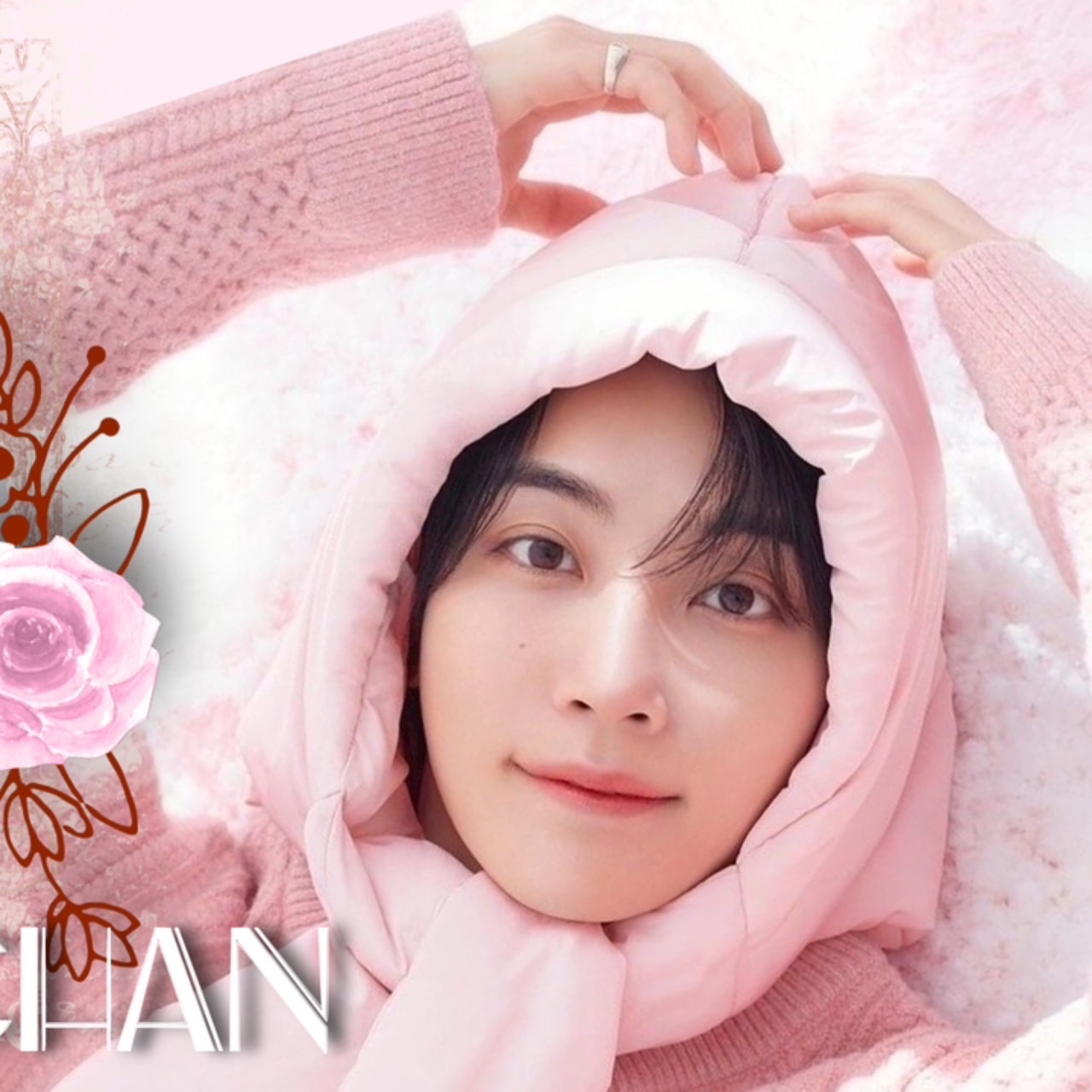 A moment captured by Jeonghan (SEVENTEEN)'s fan