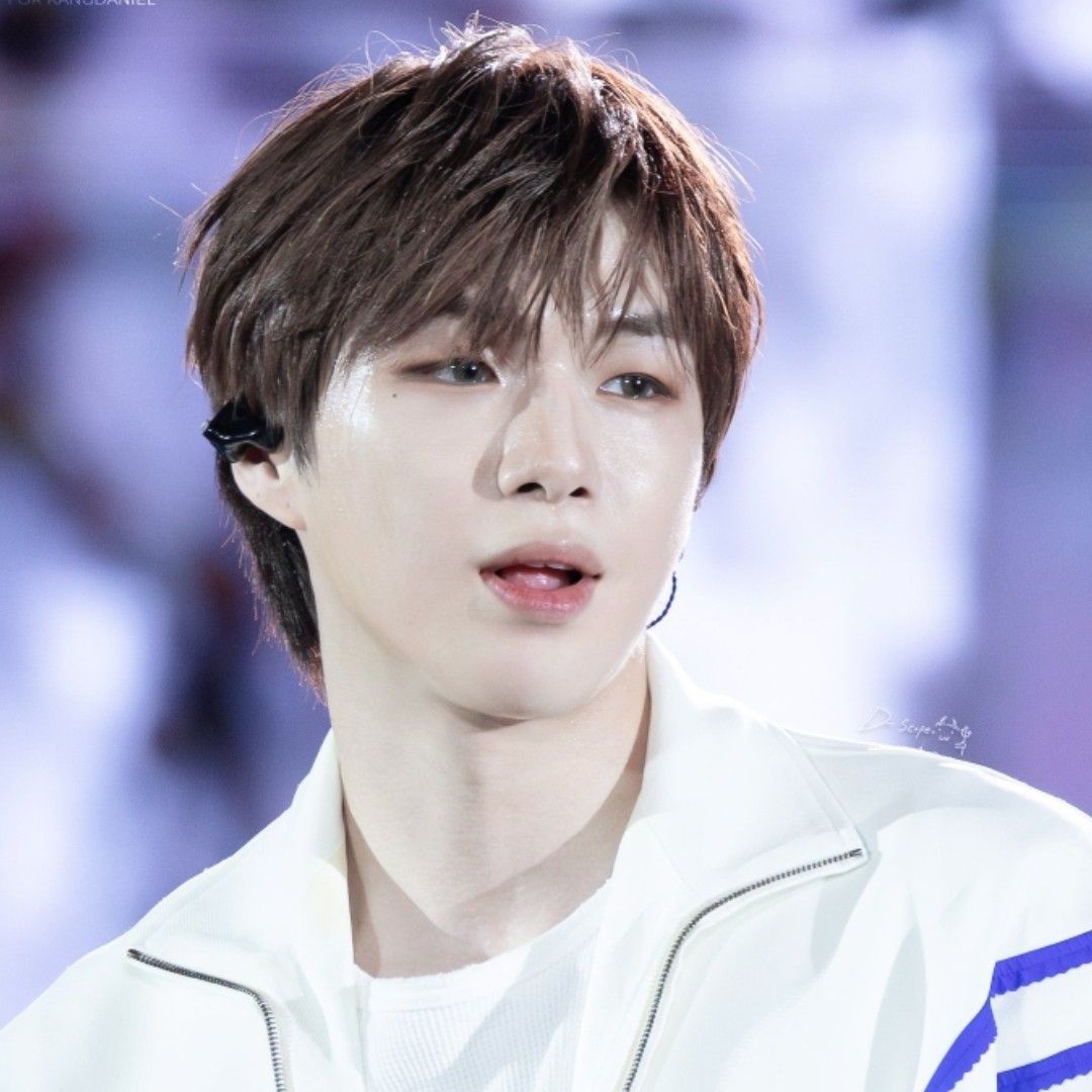 강다니엘 최근 활동샷