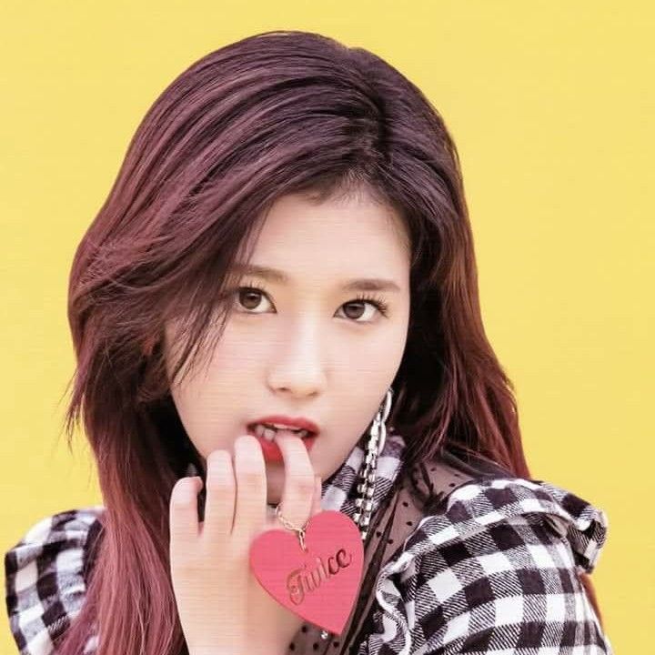 Recent activity shot of Sana (TWICE)