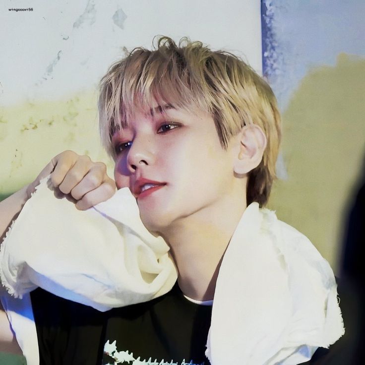 伯賢 (EXO)的幕後花絮