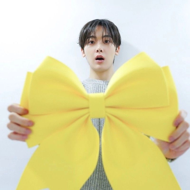 Behind-the-scenes cut of Sanha (ASTRO)