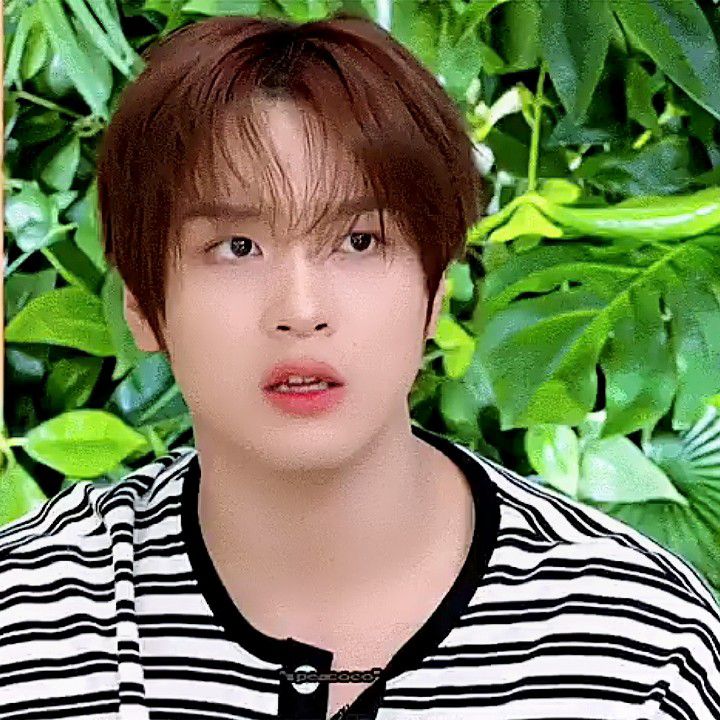 A moment captured by Haechan (NCT 127, NCT DREAM)'s fan