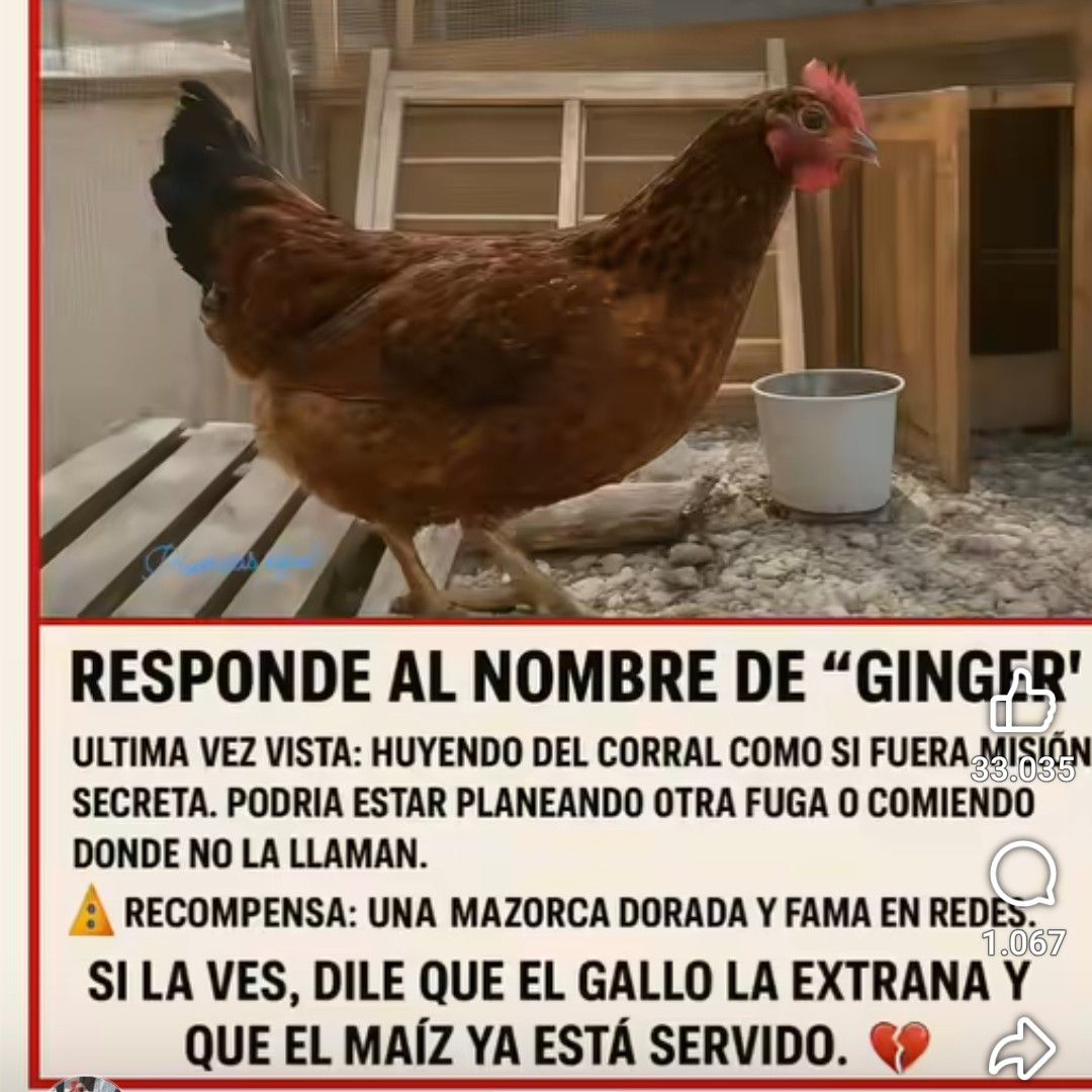 Potret di balik layar Lisa (BLACKPINK)