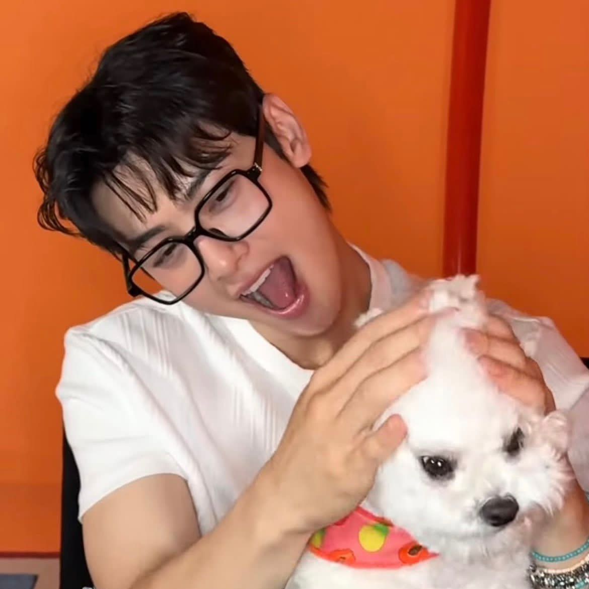 ASTROの最新写真