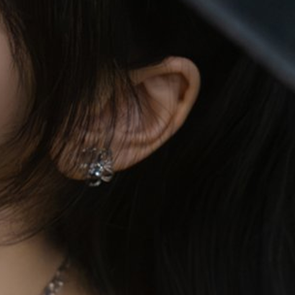 Latest photo of Choerry (ARTMS)