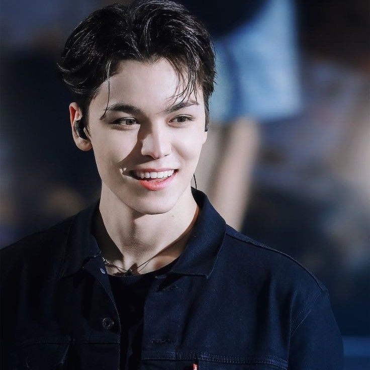 バーノン (SEVENTEEN)ファンが撮った瞬間