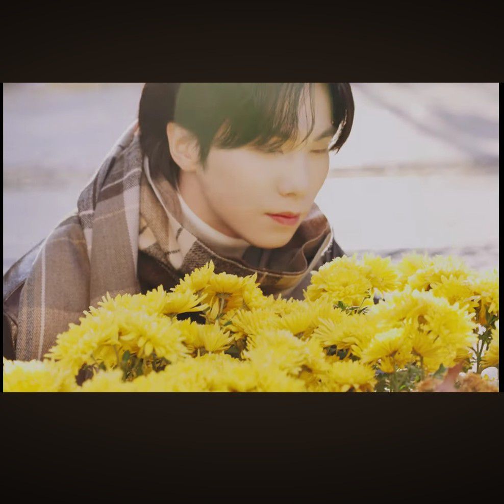 Behind-the-scenes cut of Rocky