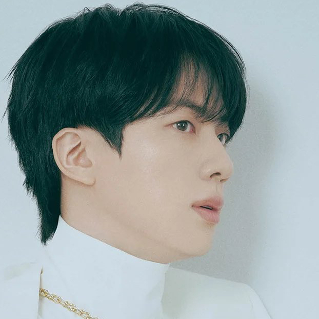 A moment captured by Jin (BTS)'s fan