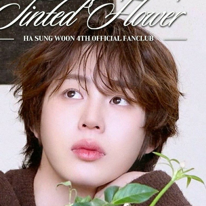 Potret di balik layar Ha Sungwoon