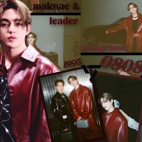 ディノ (SEVENTEEN)ファンが撮った瞬間