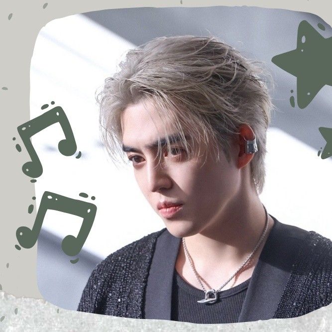 S.Coups (SEVENTEEN)粉丝拍下的瞬间
