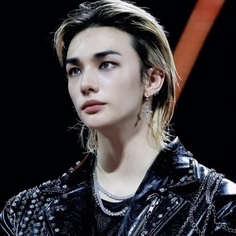 Stray Kids 최근 활동샷