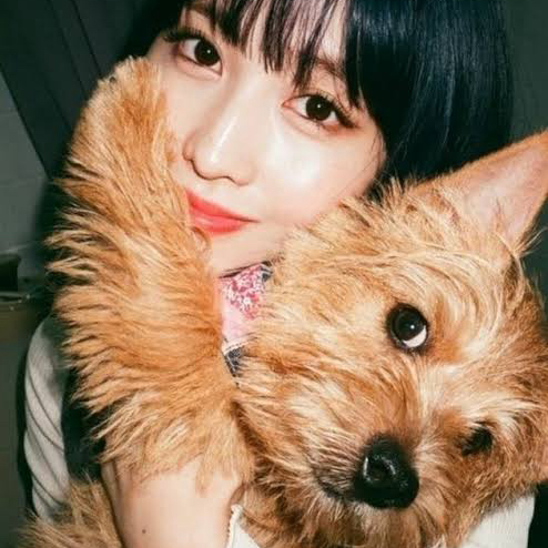 Momo (TWICE)的幕后花絮