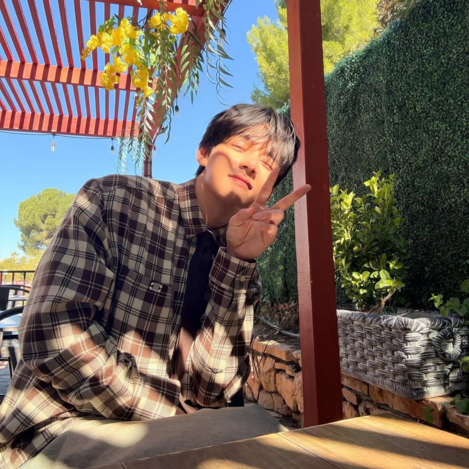 V (防彈少年團)粉絲拍下的瞬間