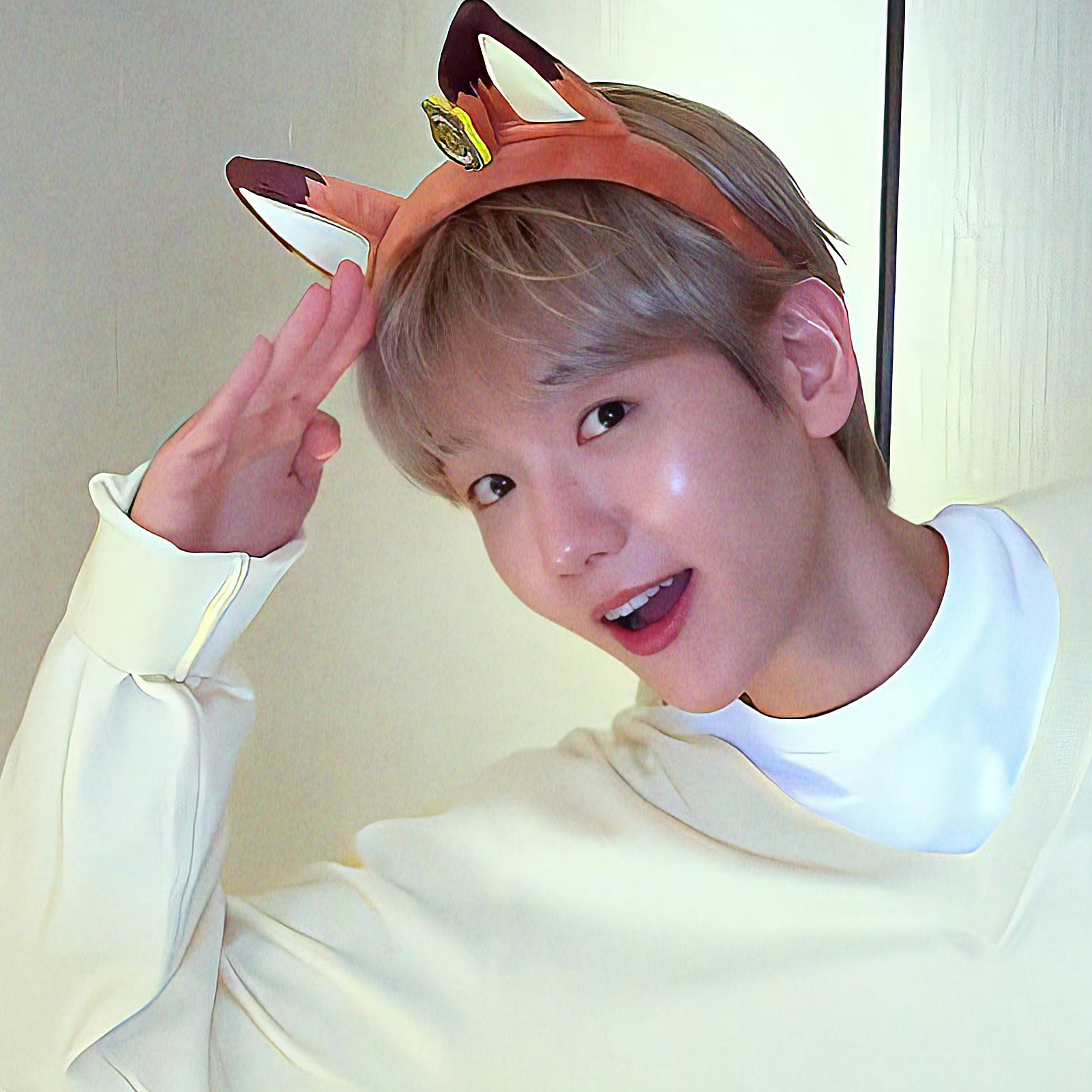 백현 (EXO) 팬이 찍은 순간