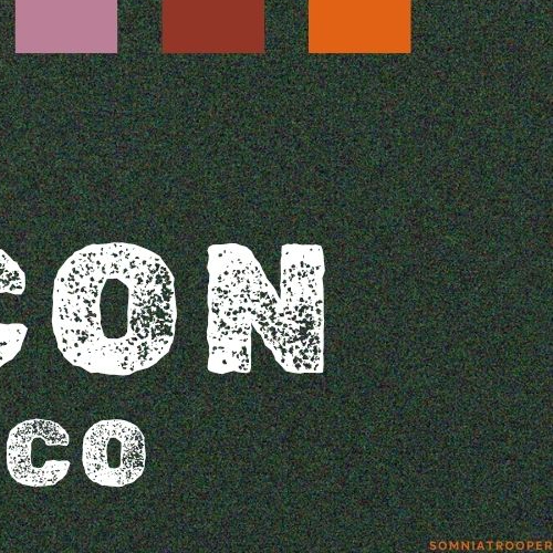 A moment captured by AleXa's fan